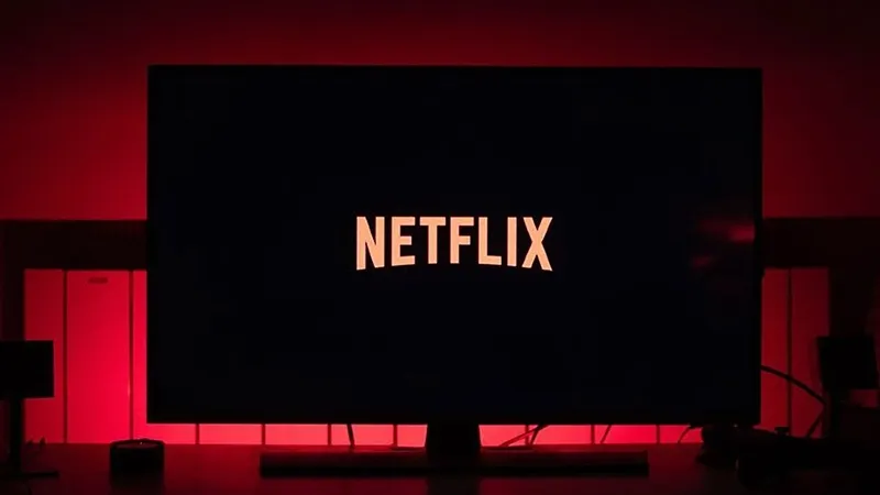 Netflix App Interface