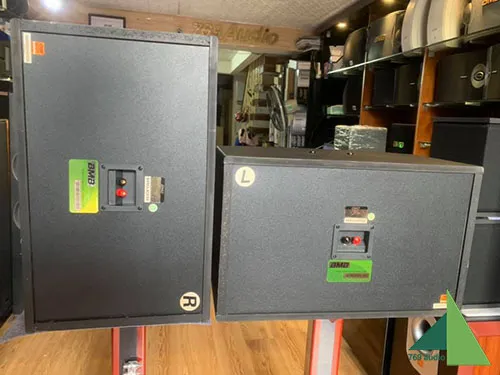 Cận cảnh loa BMB CSD 2000se bãi