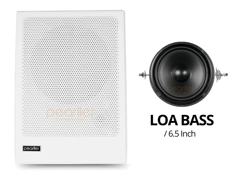 Loa sở hữu củ loa 6.5 Inch ấn tượng