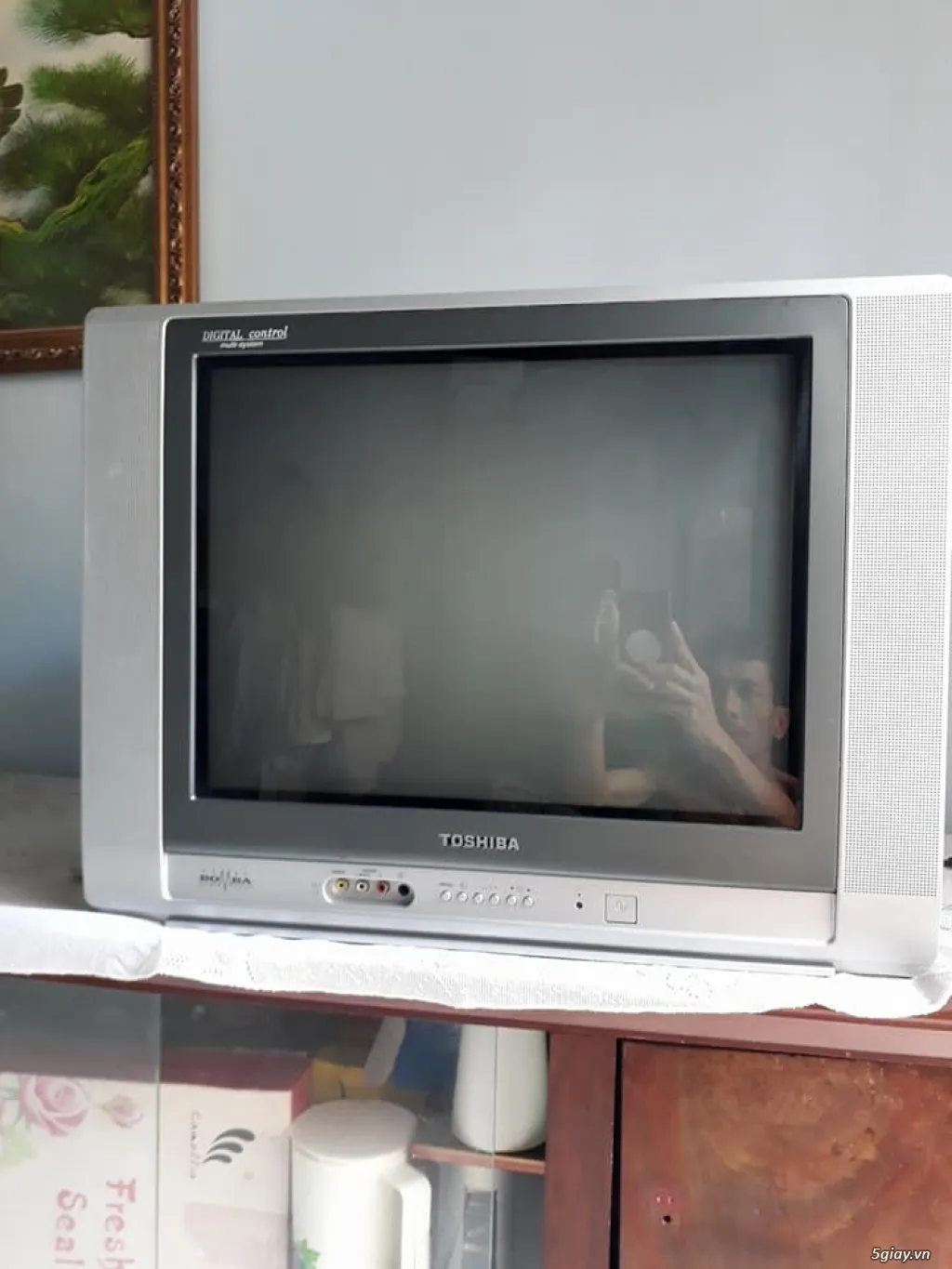 Các thương hiệu tivi 21 inch phổ biến
