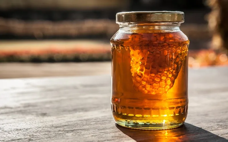 Cách đặt hũ mật ong chống kiến
