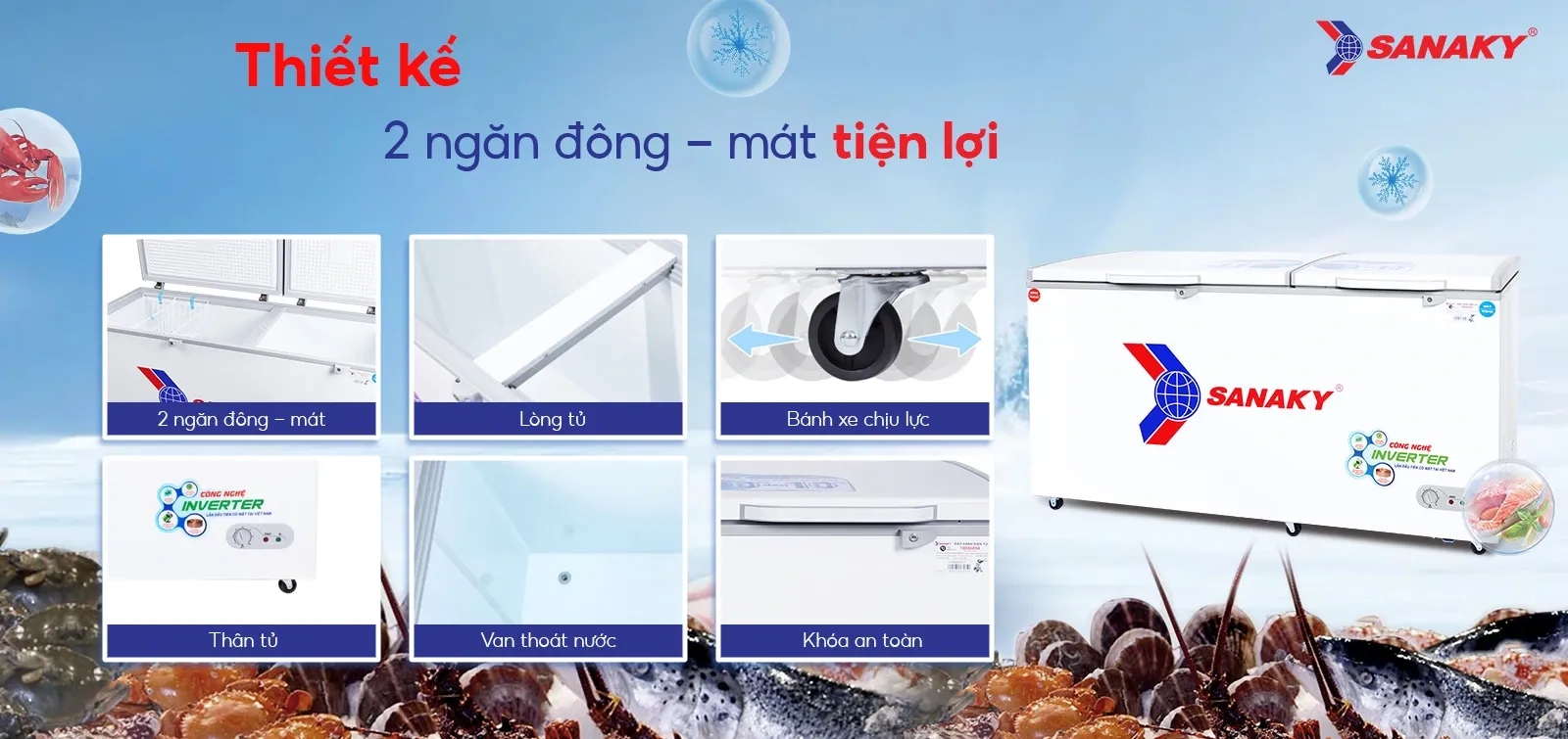 Chi tiết cấu tạo lòng tủ và van thoát nước tủ đông Sanaky 500L
