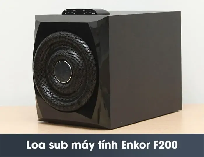 Loa sub may tinh Enkor F200