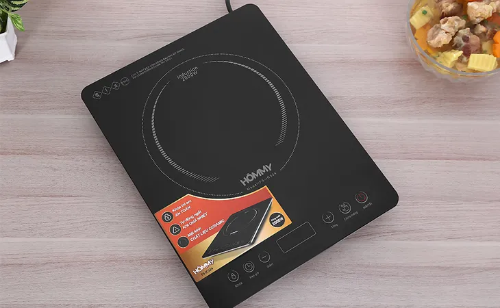 Bếp từ Hommy FS-IC324
