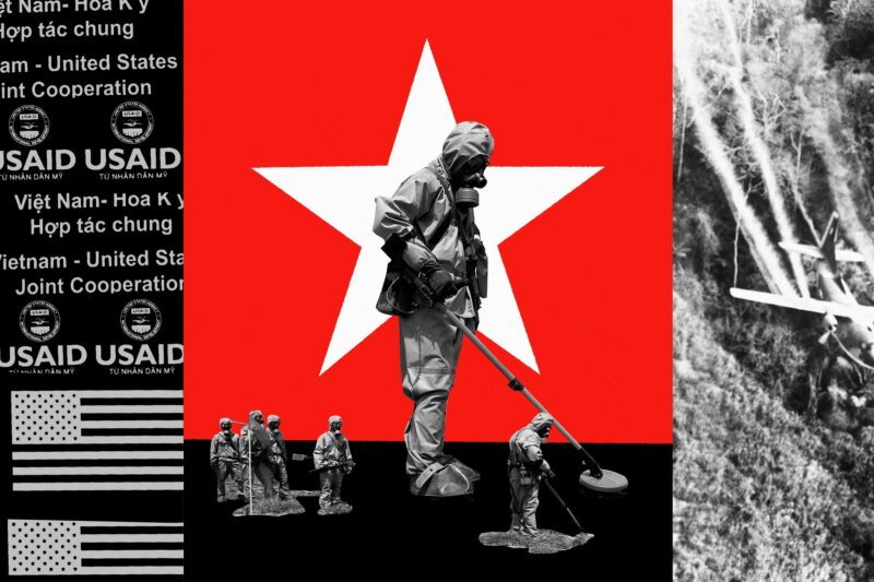 Chất Điều Hòa Sinh Trưởng Thực Vật Là Gì Và Lợi Ích Cho Bãi Cỏ Của Bạn