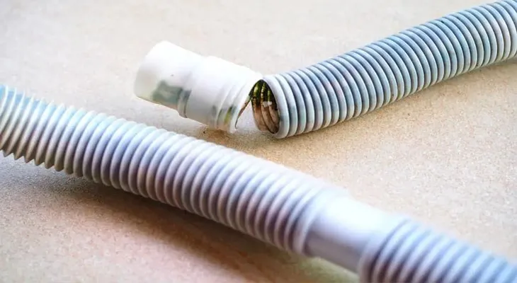 Côn trùng chết gây tắc ống thoát nước máy lạnh