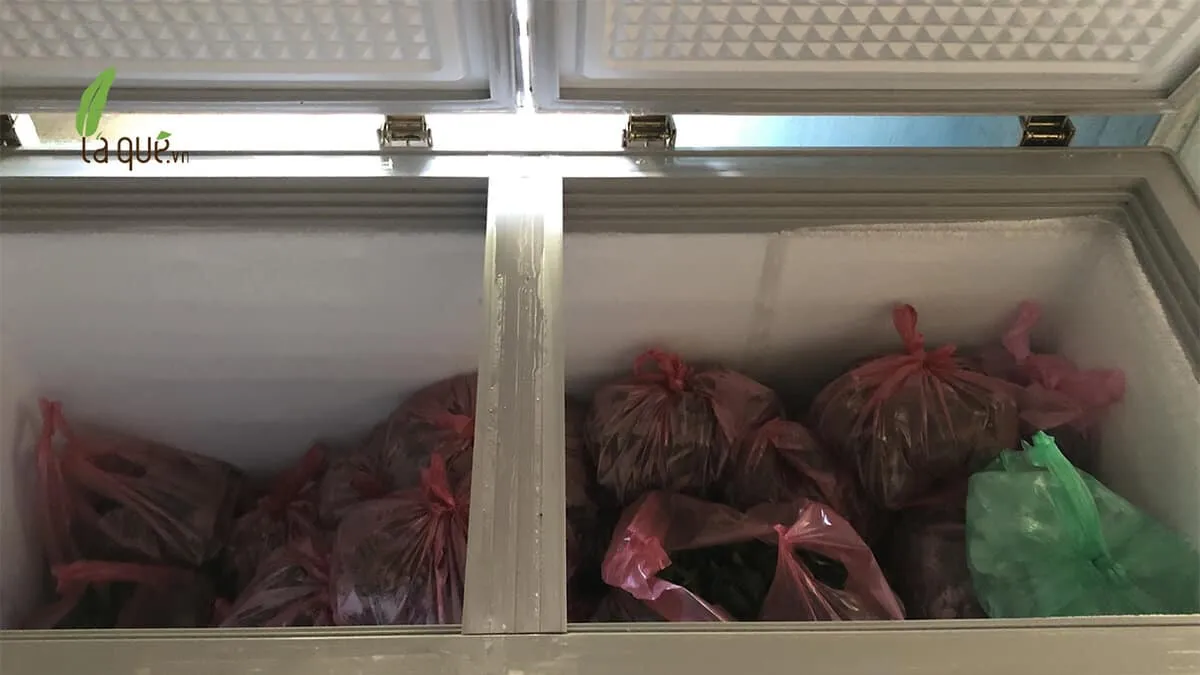 Bảo quản bánh bột lọc trong tủ đông