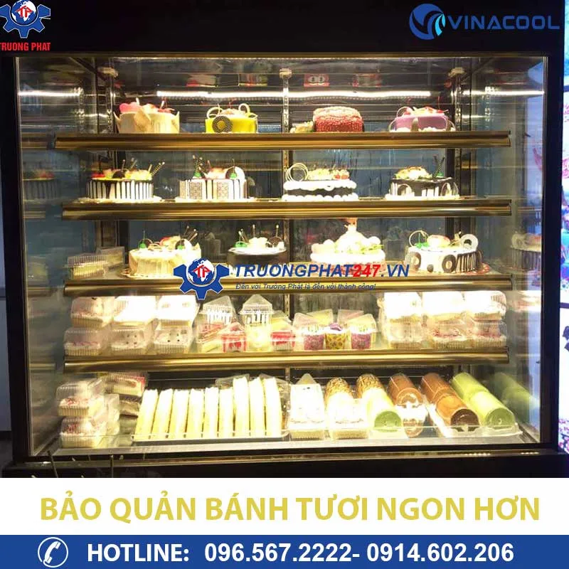 Quy trình bảo quản bánh gato đúng cách tại Điện Máy Ánh Ngân
