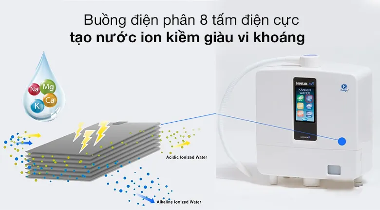 Cấu tạo buồng điện phân 8 tấm điện cực Titanium phủ Platinum