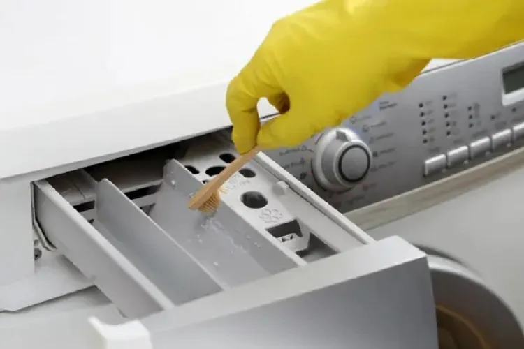 Vệ sinh ngăn chứa chất giặt định kỳ
