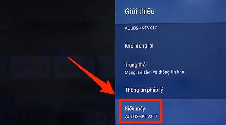 Xem tên thiết bị tivi