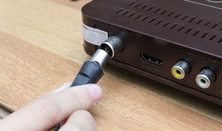 Cắm dây ăng-ten vào đầu thu