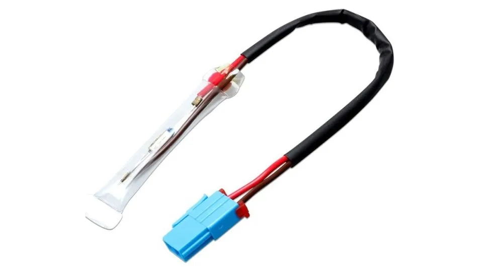 Quan sát ngoại hình