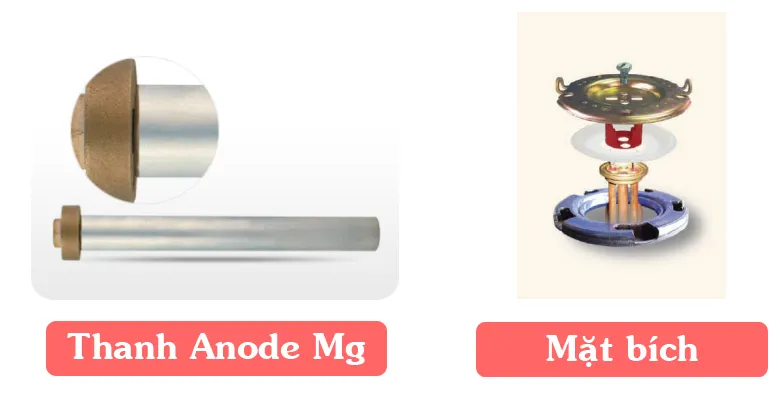 Cấu tạo bình nóng lạnh Ferroli 3