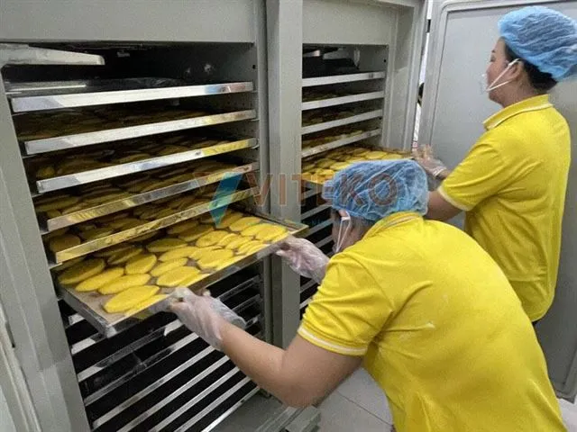 Xoài sấy dẻo từ máy sấy lạnh