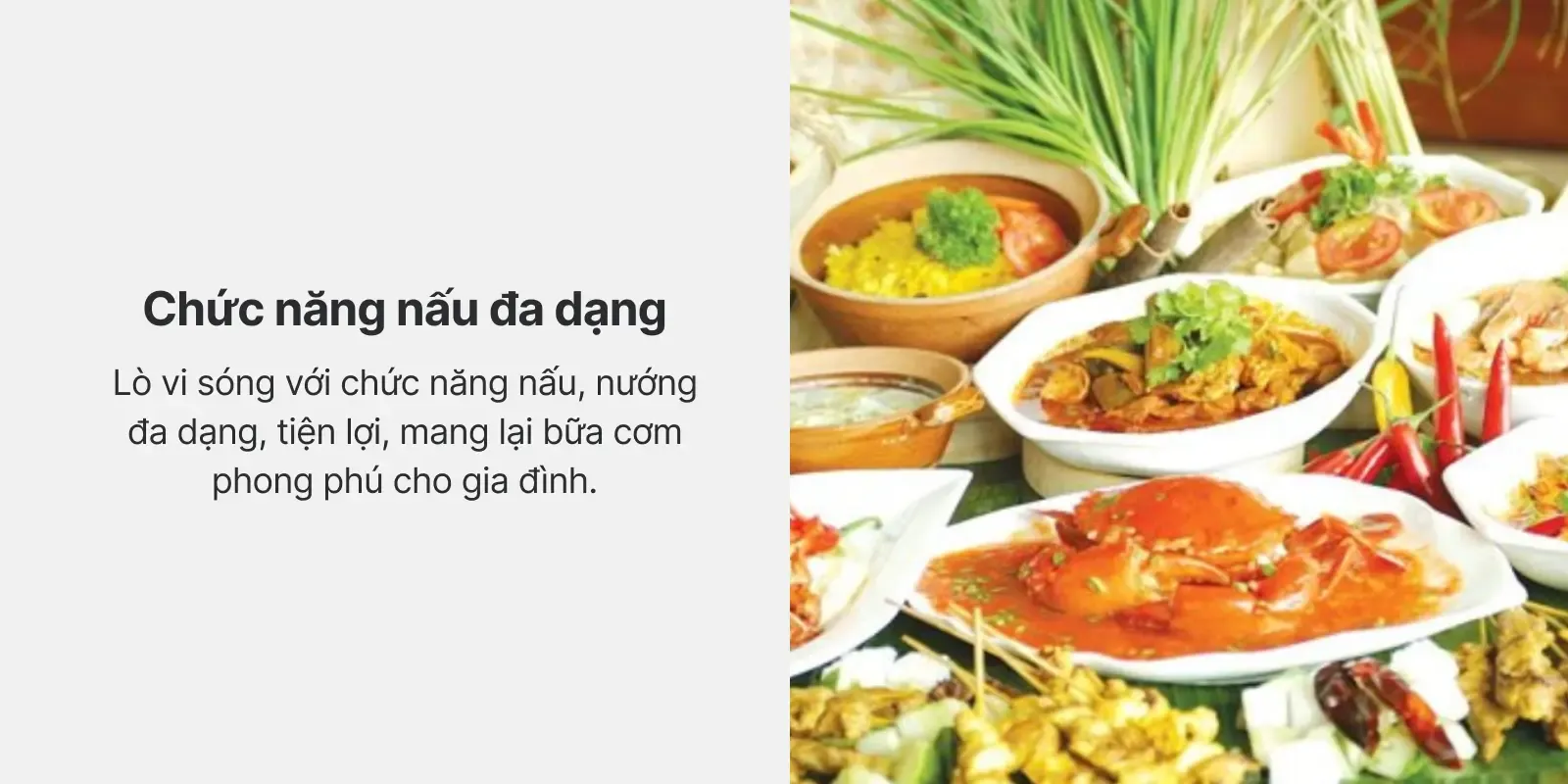 Chuc nang nau da dang