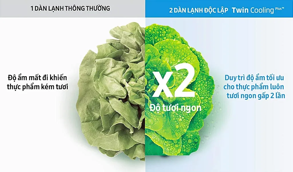 Khả năng duy trì độ ẩm vượt trội giúp rau củ luôn tươi mọng như vừa mua