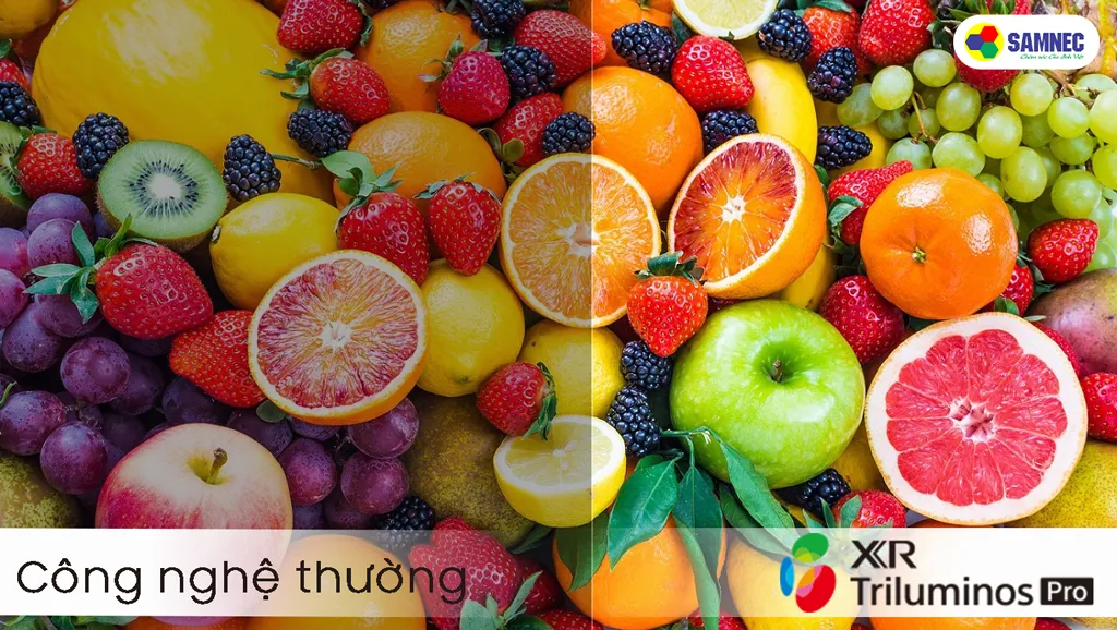 Công nghệ tái tạo màu sắc XR Triluminos Pro trên màn hình Sony