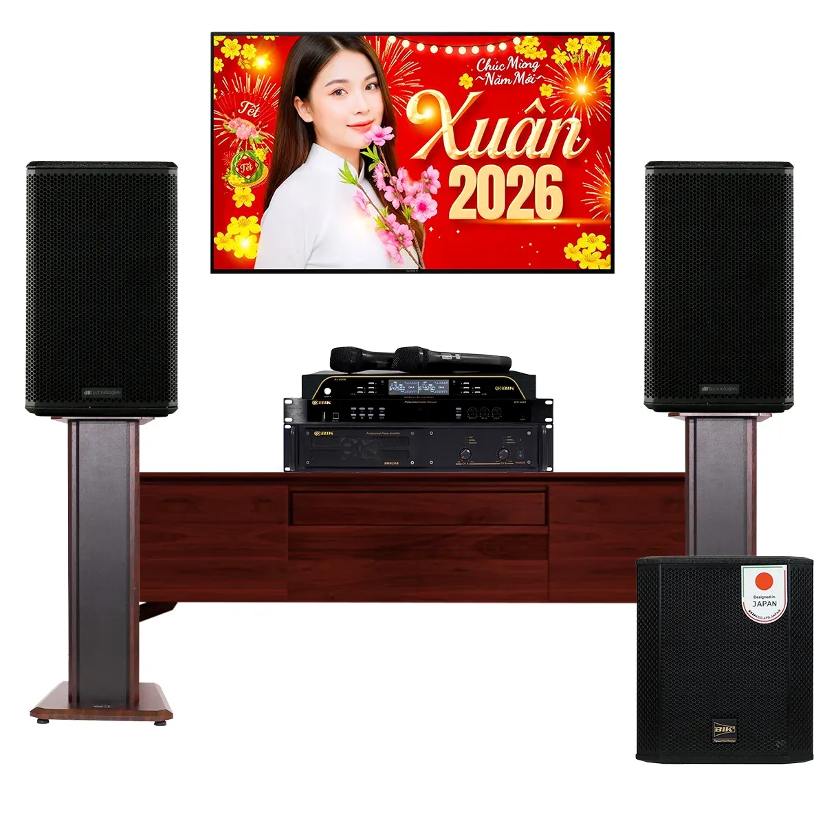 Dàn karaoke gia đình dBTechnologies 19