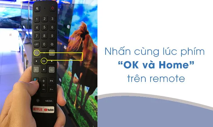 Điều khiển tivi TCL bằng giọng nói