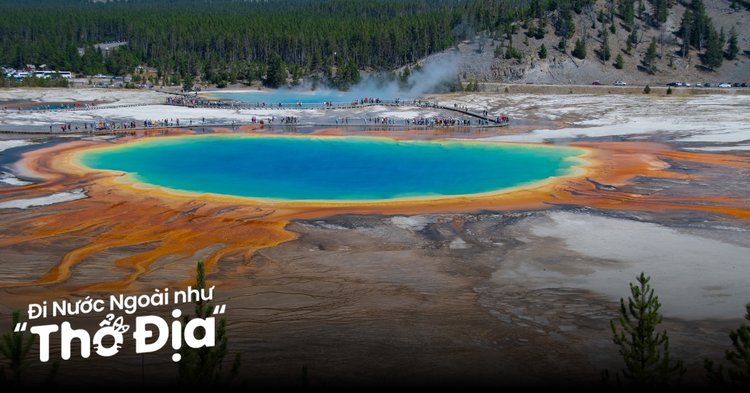 Hướng Dẫn Chi Tiết Cách Lưu Ảnh Trên Facebook Về Điện Thoại Miễn Phí