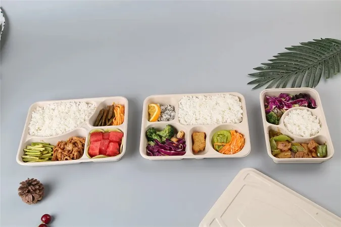 Hộp bã mía nhiều ngăn đựng thức ăn an toàn lò vi sóng