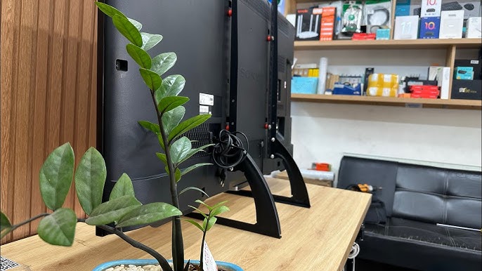 Hướng Dẫn Chi Tiết Cách Lắp Chân Đế Tivi Sony 55 Inch Tại Nhà