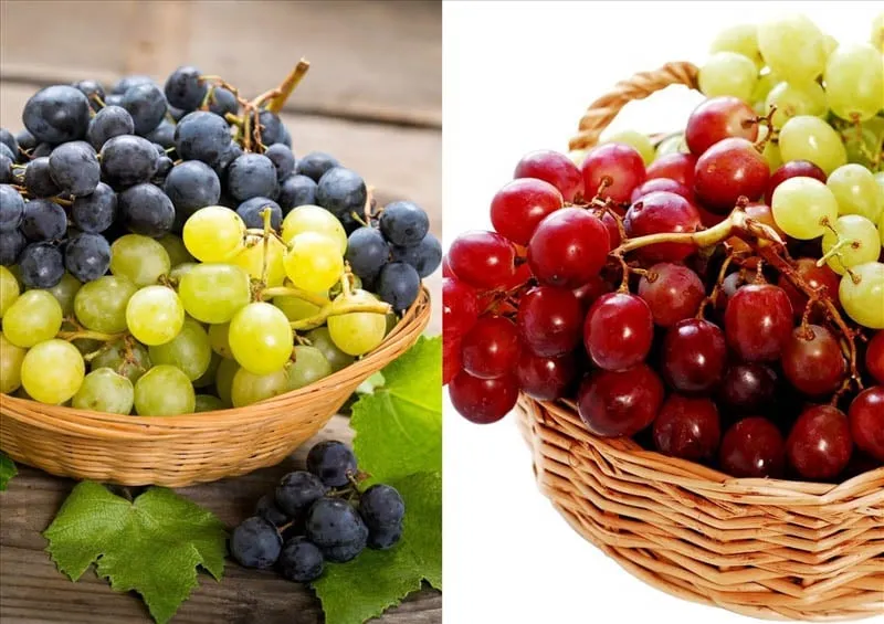 Chọn nho tươi ngon không nấm mốc