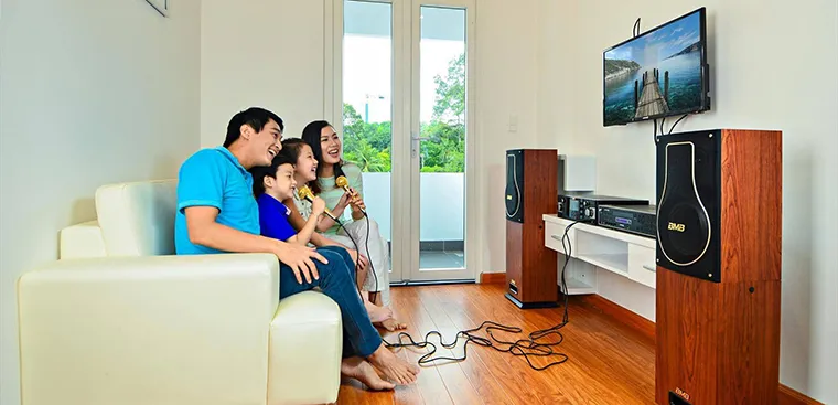 Những điều cần lưu ý khi kết nối micro với tivi