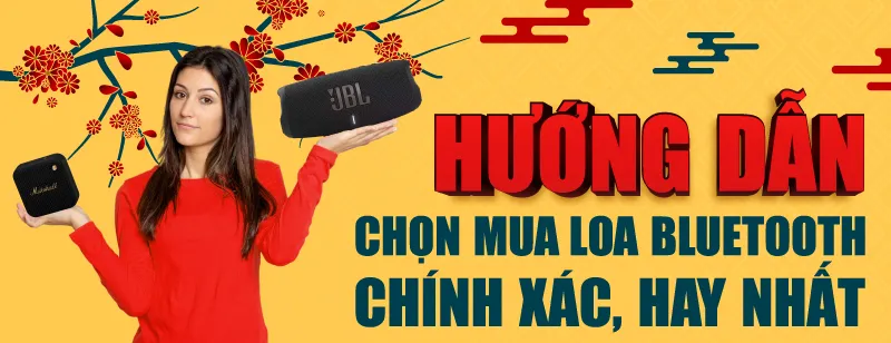 Ảnh hướng dẫn lựa chọn loa Bluetooth chính hãng chuẩn kỹ thuật nhất