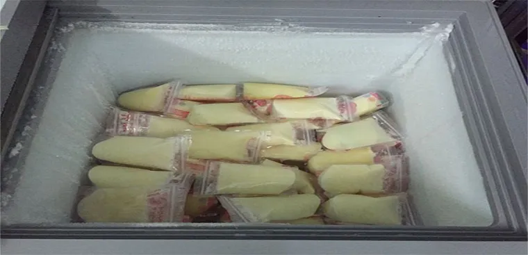 Khả năng lưu trữ ấn tượng của tủ đông dung tích nhỏ