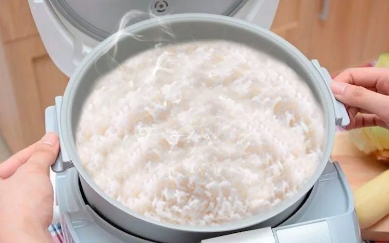 Mẫu nồi cơm điện cao tần Sharp KS-IH191V-BK hiện đại cho gia đình 2026