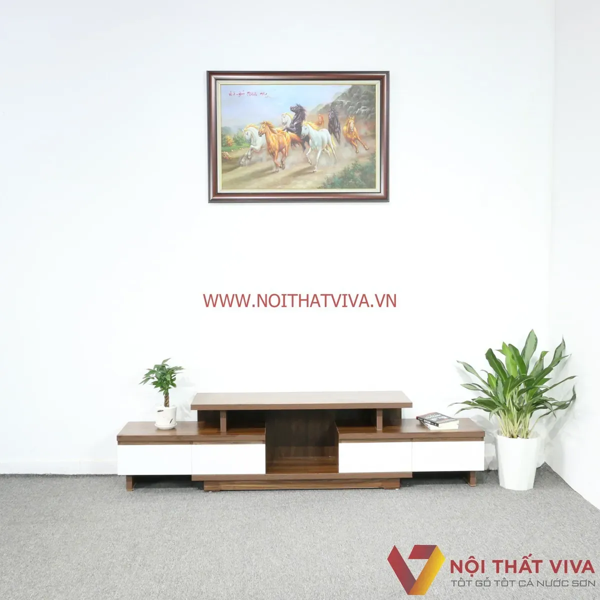 Công Năng Kệ Tivi