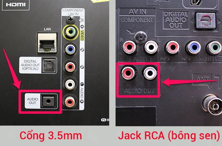 Kiểm tra các cổng kết nối của tivi
