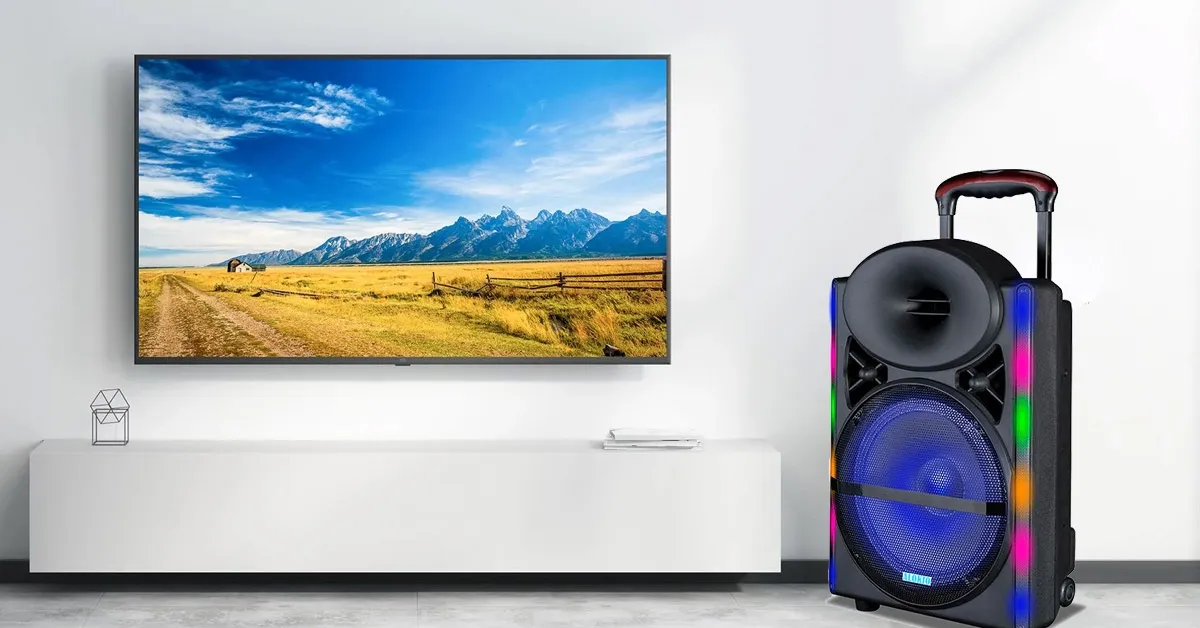 Hướng dẫn kết nối loa kéo với tivi (Ảnh 14)