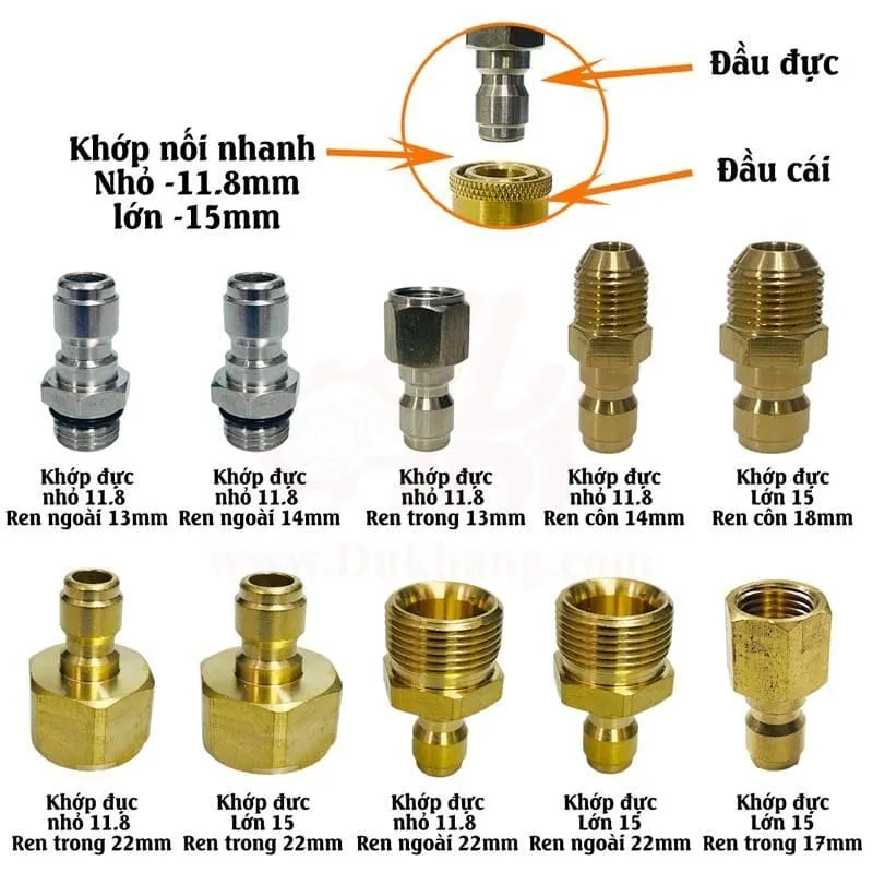 Các loại đầu đực
