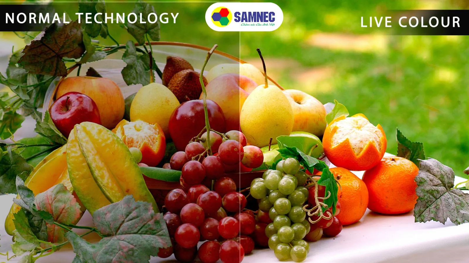 Công nghệ màu sắc Live Colour giúp hình ảnh trên tivi Sony thêm rực rỡ