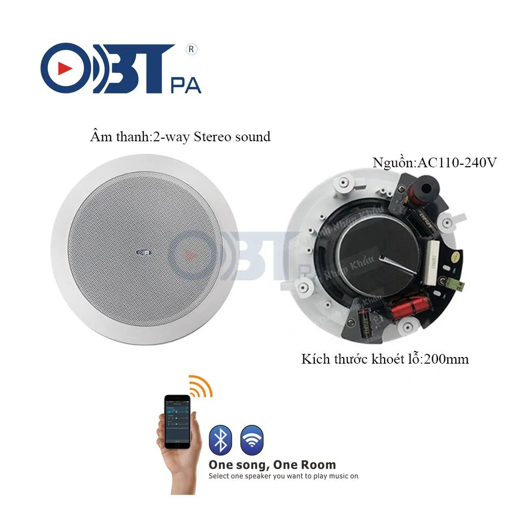 Loa Âm Trần Bluetooth WIFI OBT WF2