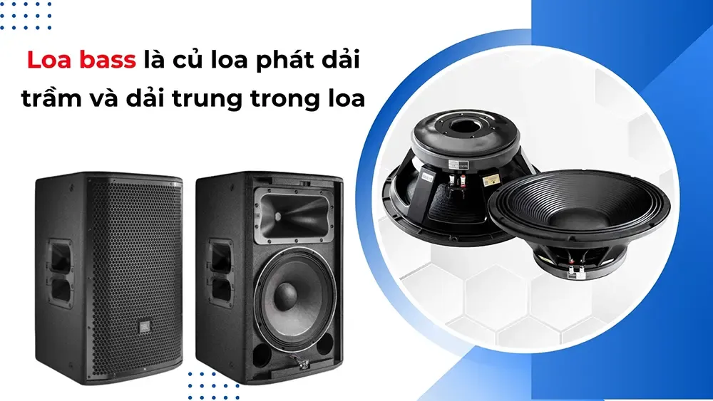 Minh họa loa bass là bộ phận phát dải trầm và dải trung trong loa