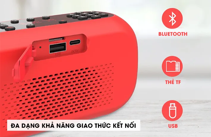 Các cổng kết nối đa dạng ở mặt sau của loa