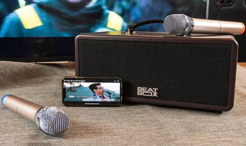 Đặc điểm loa karaoke mini cao cấp