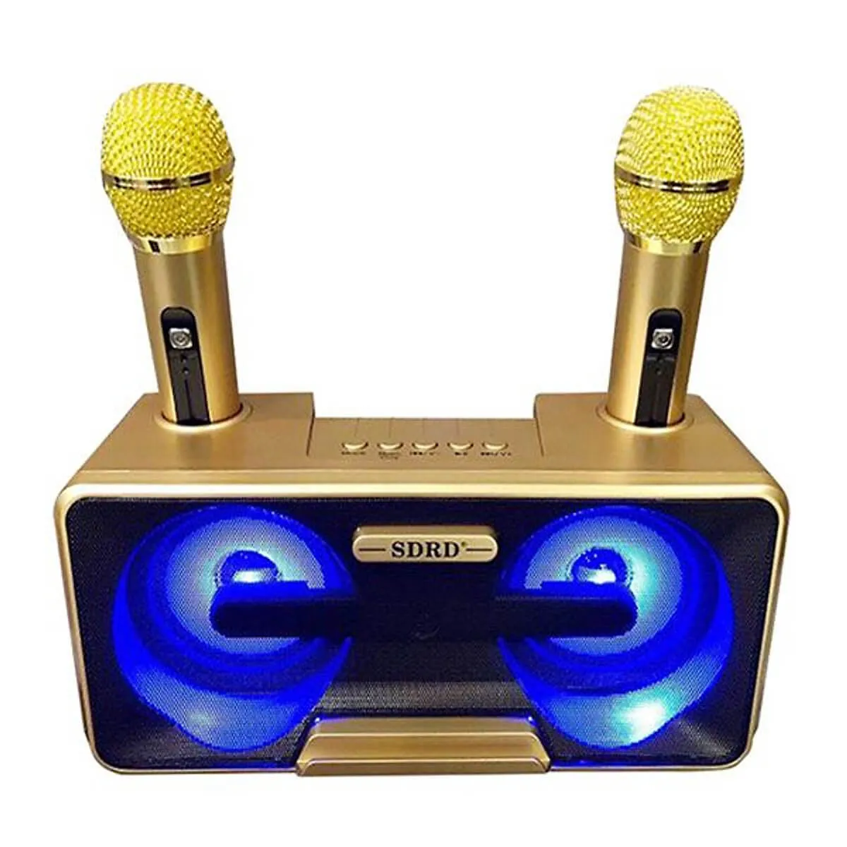 Loa karaoke mini SDRD SD301