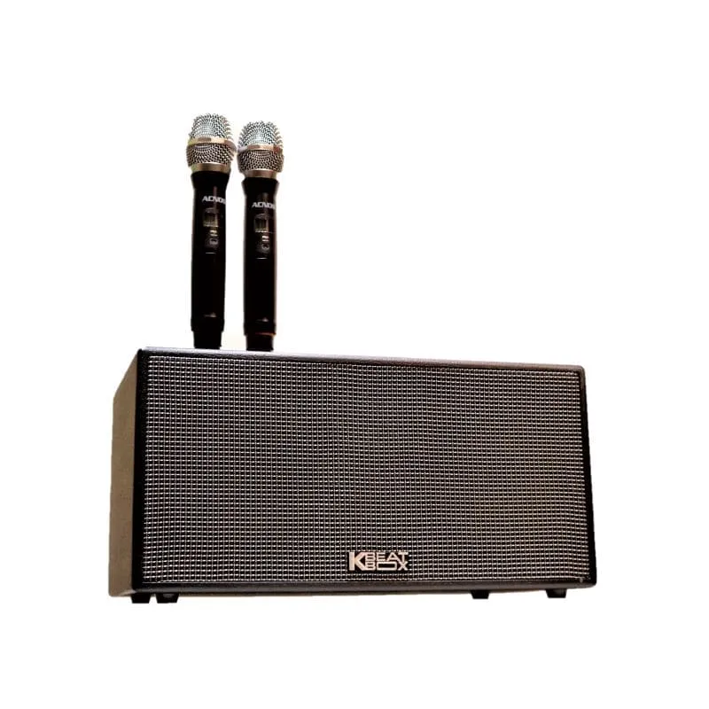 Dòng loa karaoke Acnos Beatbox CS447 bọc da xịn
