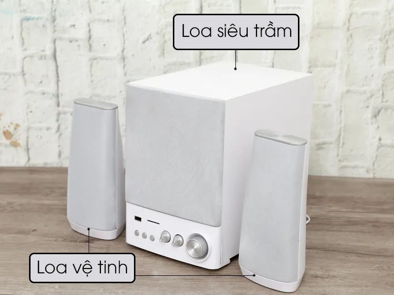 Loa vệ tinh là loại loa được đặt xung quanh các thiết bị điện tử