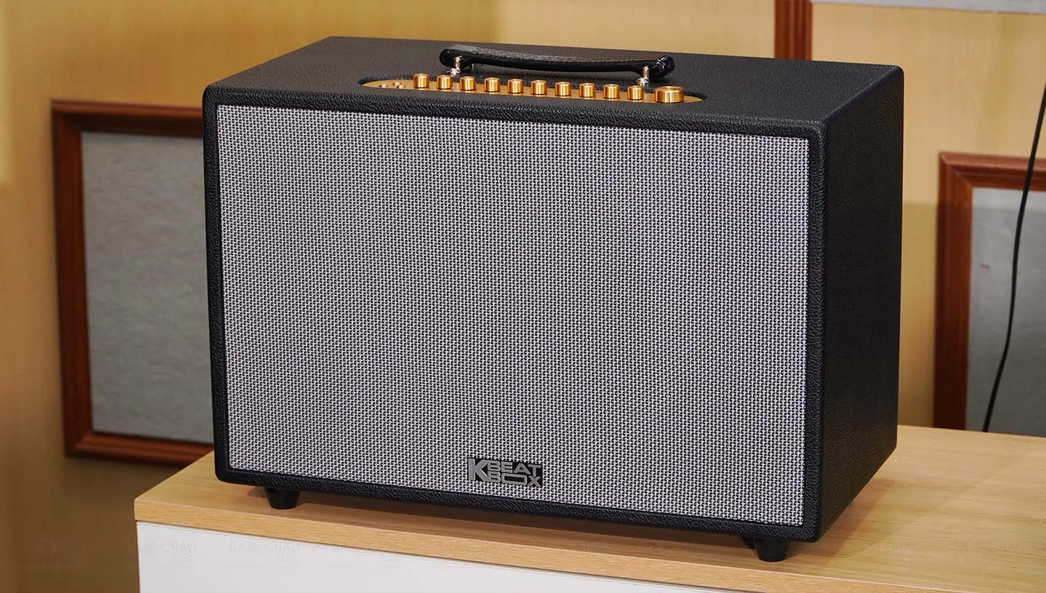 Loa Xách Tay Acnos Hinet 3600