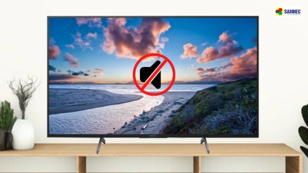 Nguyên nhân lỗi tivi Sony bị mất tiếng