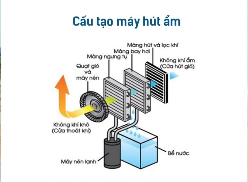 Cấu Tạo Của Máy Điều Hòa: Khám Phá Nguyên Lý Hoạt Động Chi Tiết