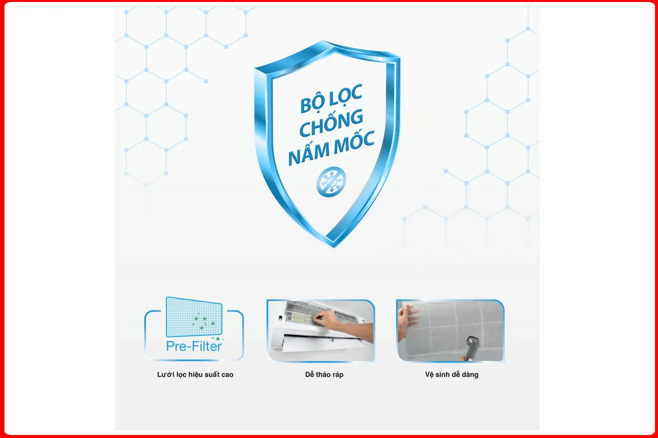 Công nghệ Leuconostoc Enzyme kháng khuẩn