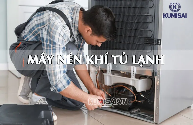 Máy nén được lắp ở phía sau tủ lạnh