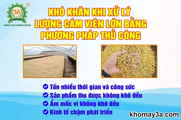 Hạn chế của phương pháp phơi cám truyền thống so với máy sấy cám công nghiệp